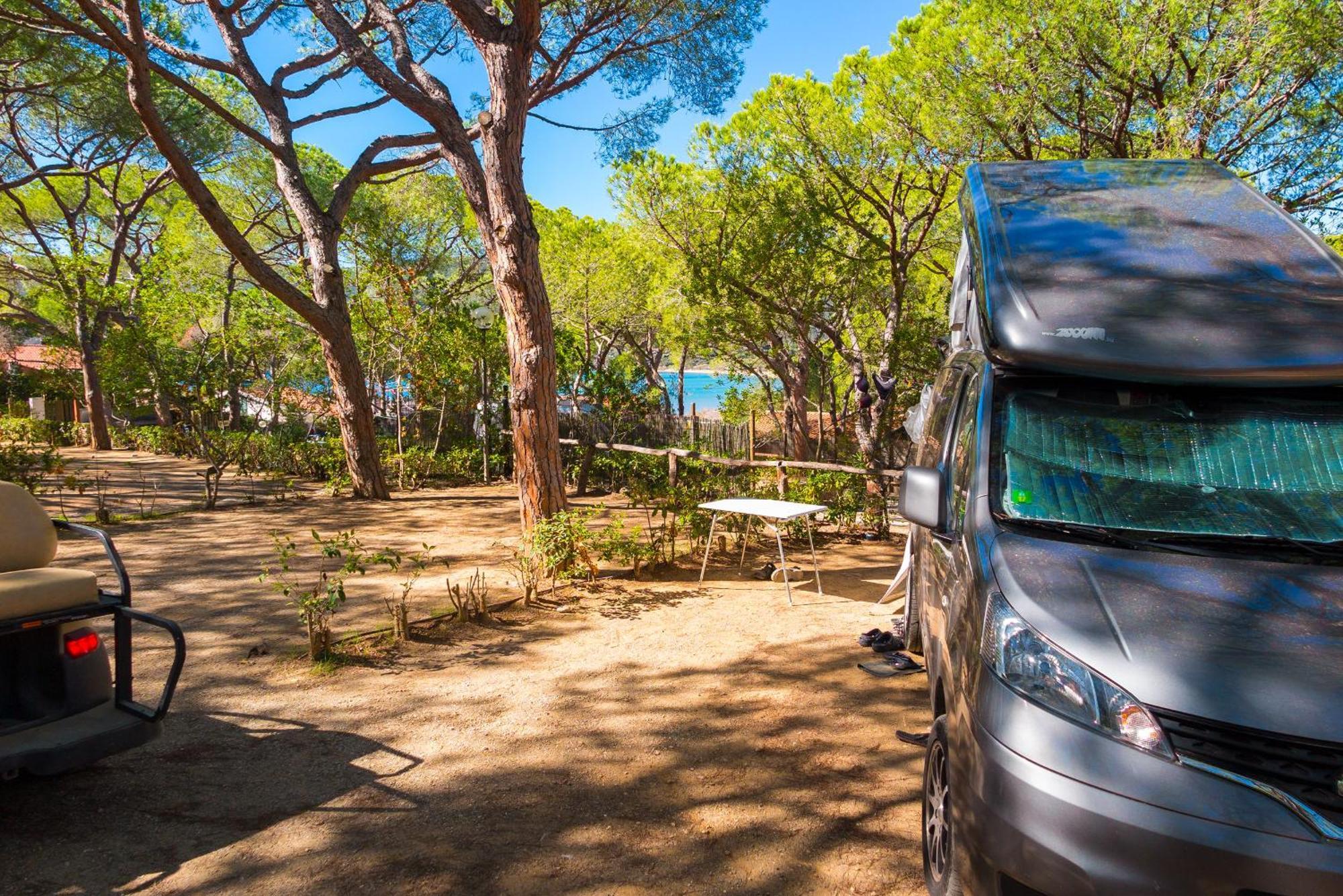 Camping Lacona Pineta Capoliveri  Buitenkant foto