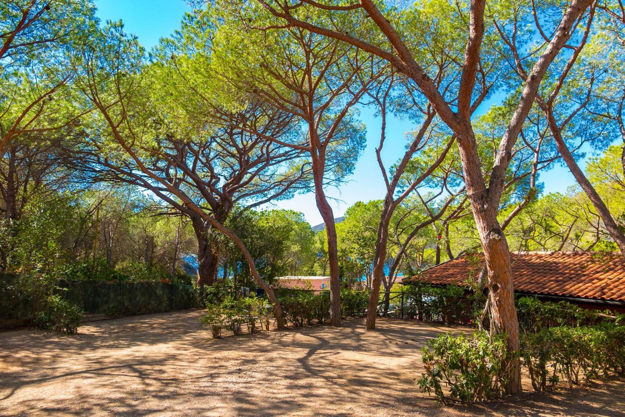 Camping Lacona Pineta Capoliveri  Buitenkant foto