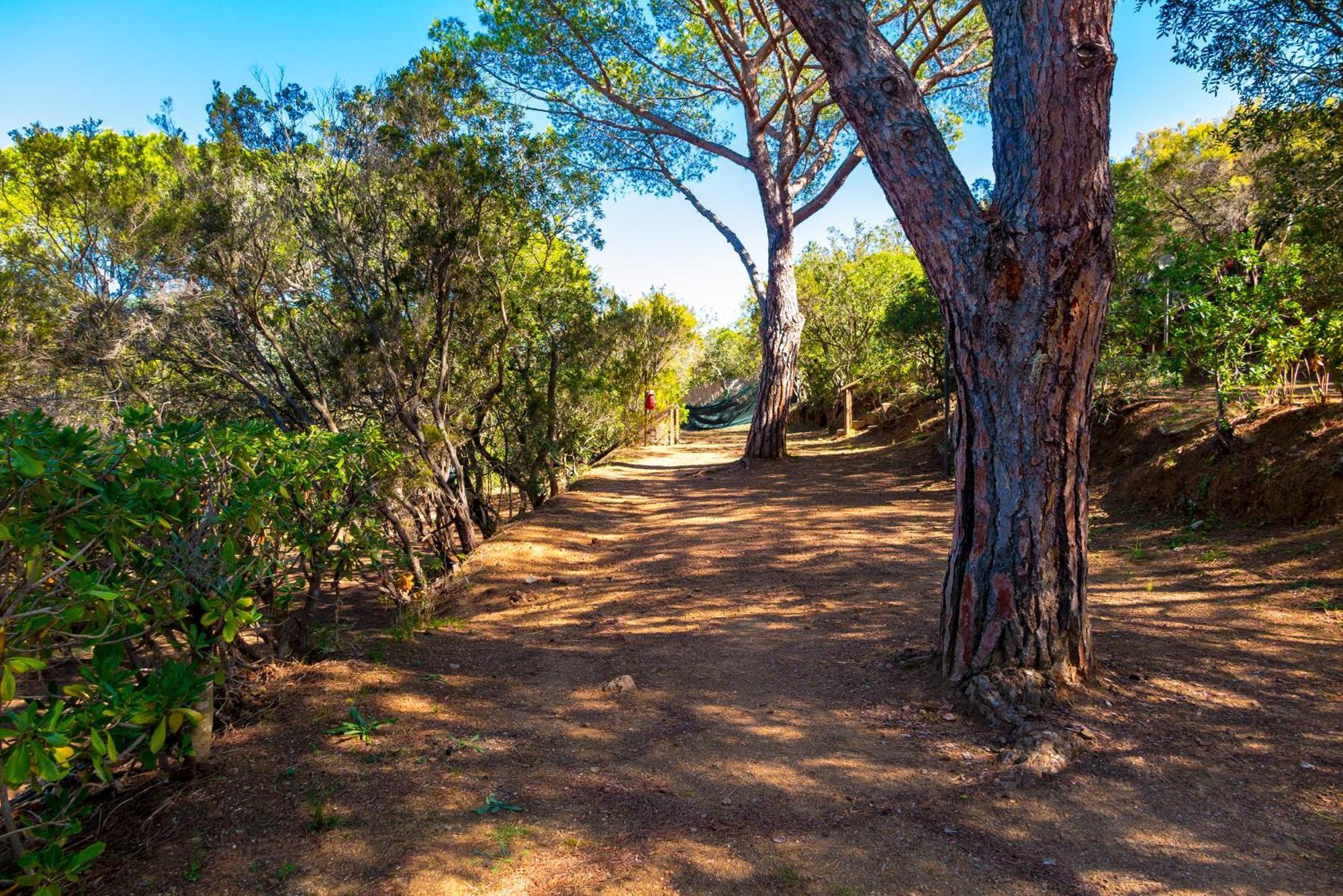 Camping Lacona Pineta Capoliveri  Buitenkant foto
