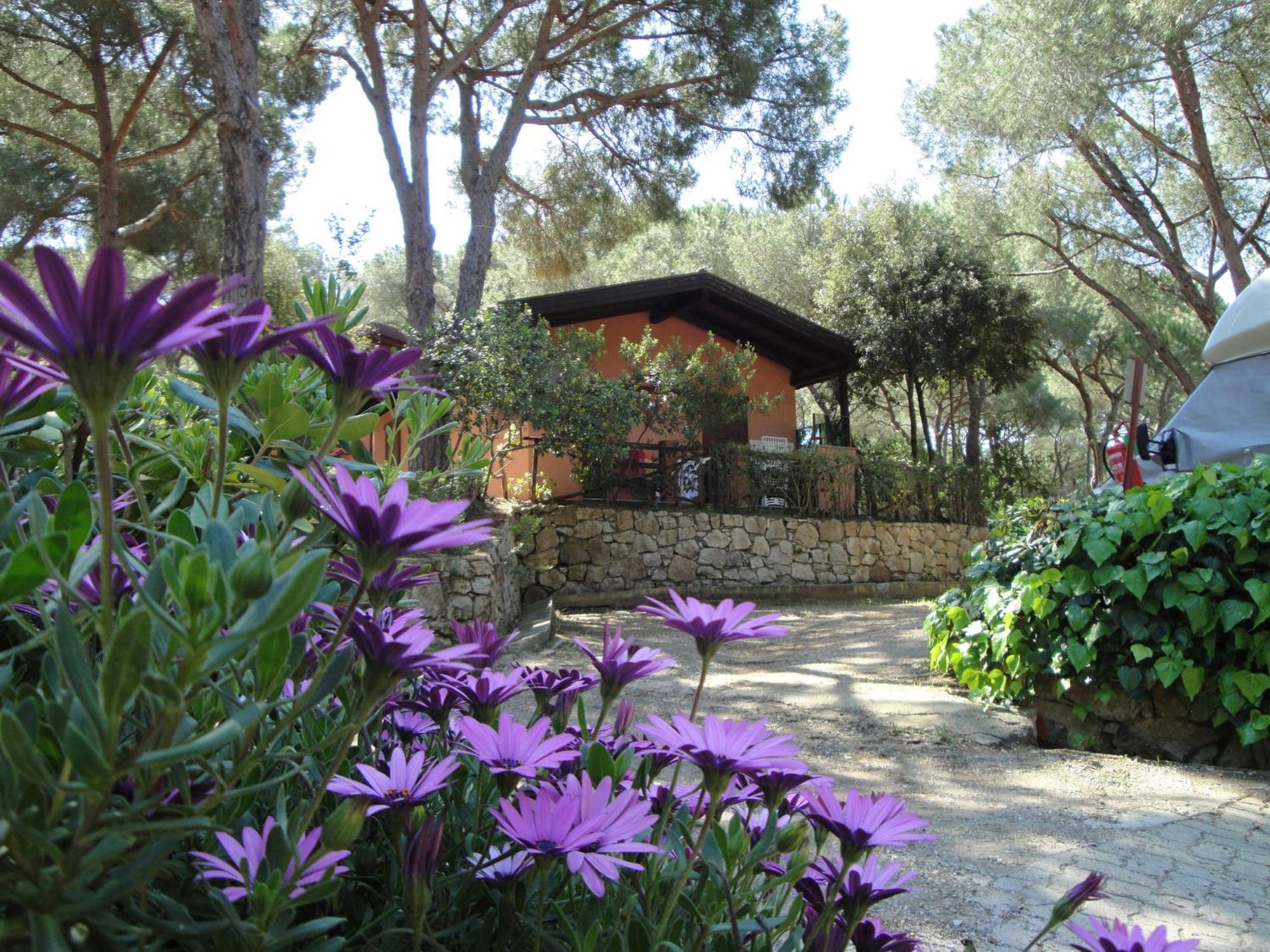Camping Lacona Pineta Capoliveri  Buitenkant foto